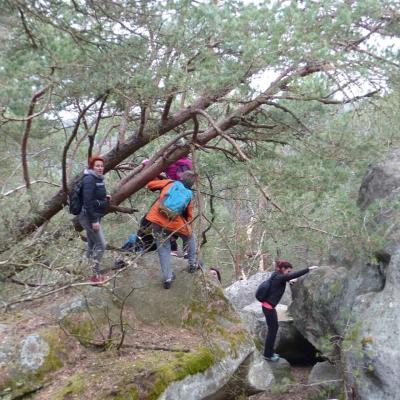 FB_IMG_1522000544149